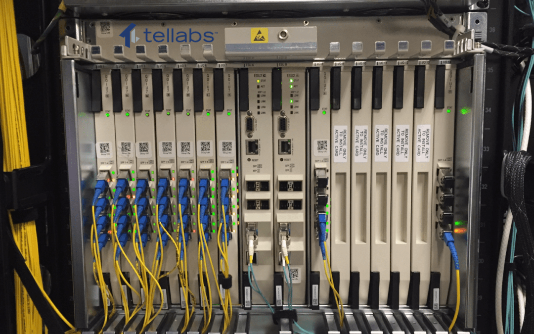 What Is Passive Optical LAN?