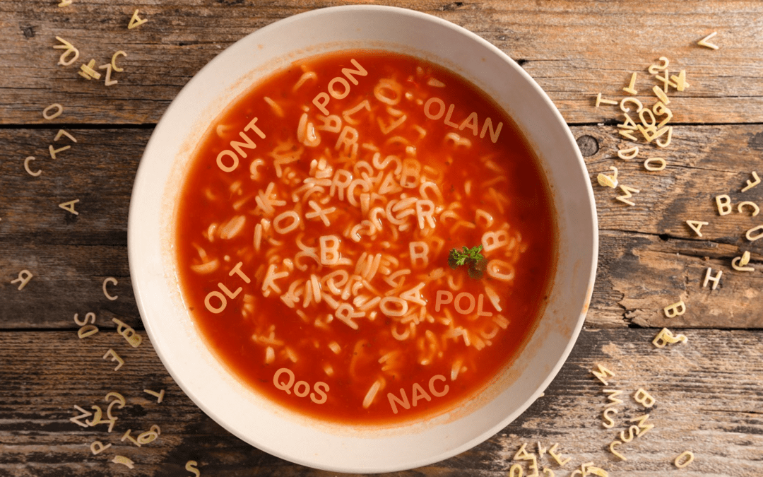 What does OLT and ONT mean in this alphabet soup called Optical LAN?