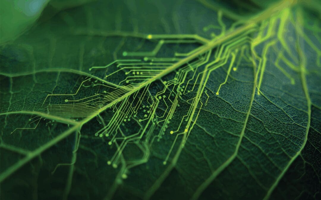 Building G.R.E.E.N. with Optical Networking